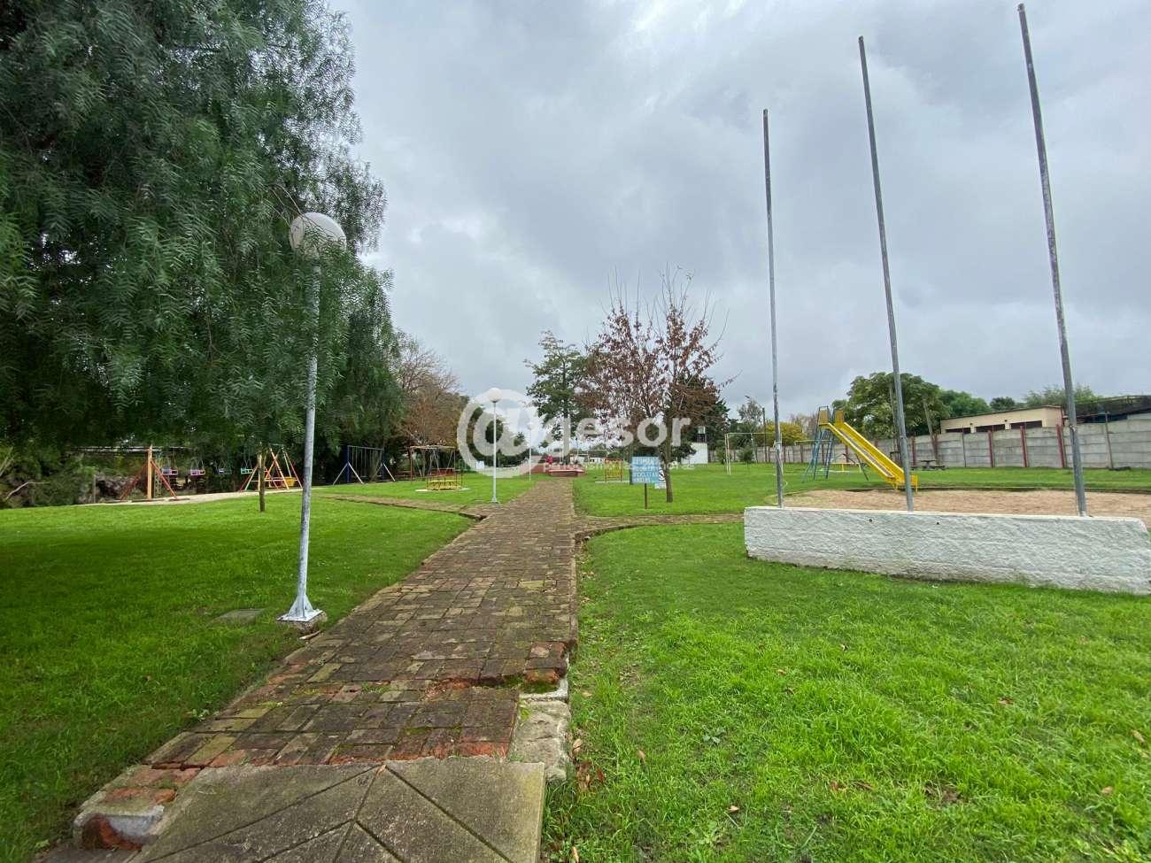 Image2